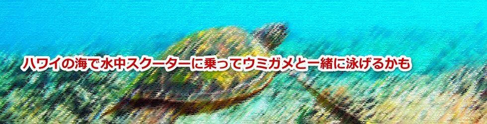 ハワイの海で水中スクーターに乗ってウミガメと一緒に泳げるかも