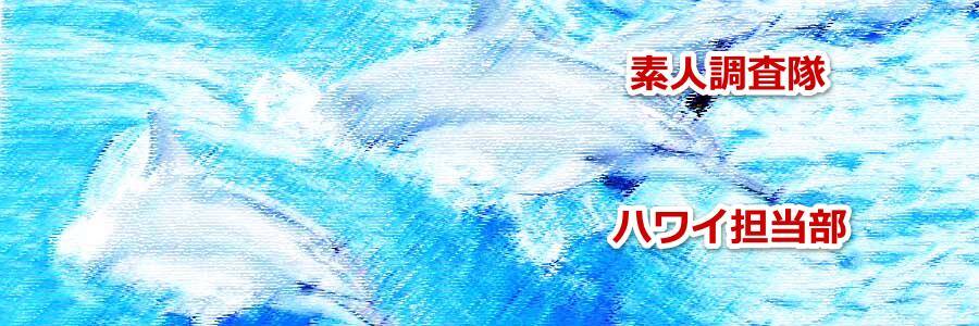 ハワイで野生のイルカと泳ぐドルフィンスイムツアーについて教えます
