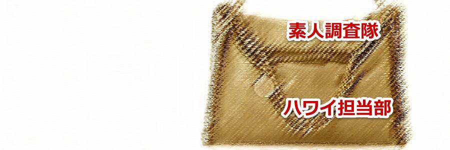 ハワイのワイキキでステラマッカートニーのお店と値段について教えます